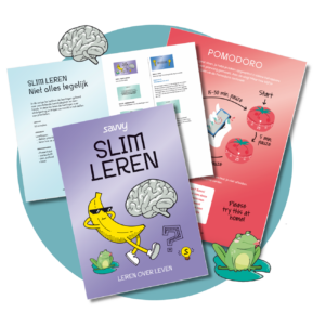 Compleet pakket voor mentorlessen: Savvy - Slim leren
