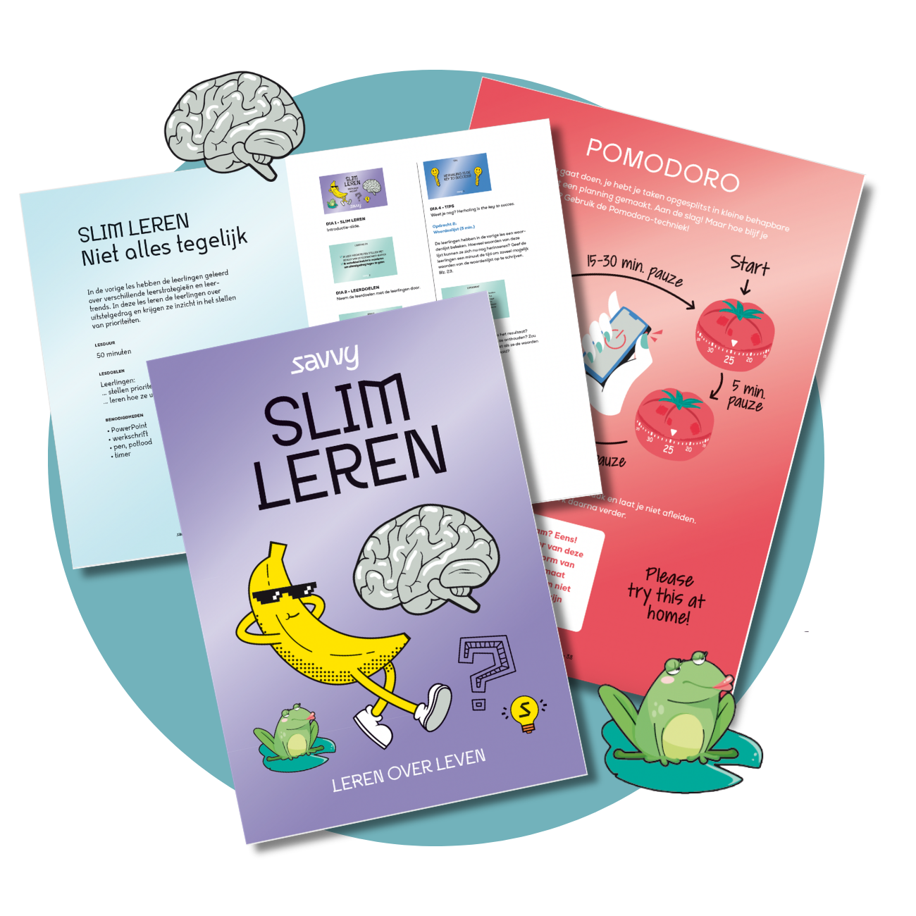 Compleet pakket voor mentorlessen: Savvy - Slim leren